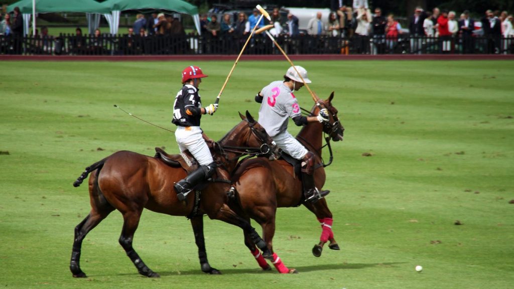 Juego de polo