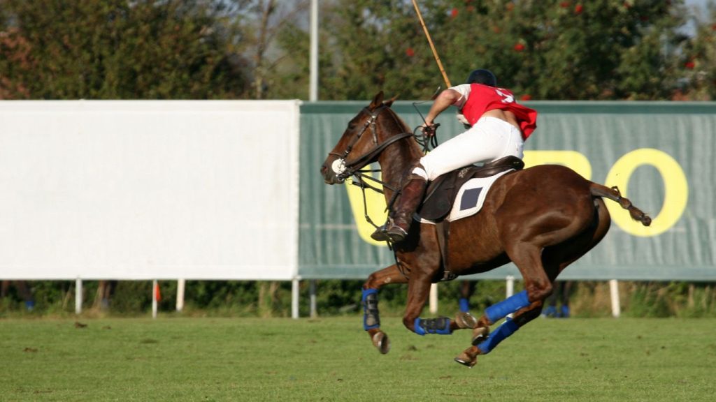 Hombre sobre caballo jugando polo