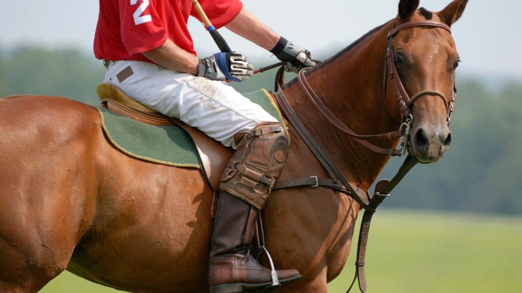 Hombre sobre caballo jugando polo